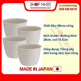 Mua Combo 4 Chậu hoa tròn màu trắng 20cm nội địa Nhật Bản
