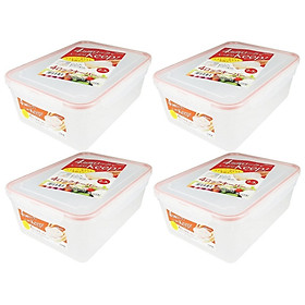 Mua Combo 04 hộp thực phẩm inomata 2300ml hàng nội địa Nhật Bản No.1852#