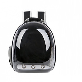 Balo nhựa trong cho mèo dưới 7kg - Màu ngẫu nhiên