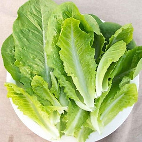 Mua 1000 Hạt giống Romie xanh Mỹ