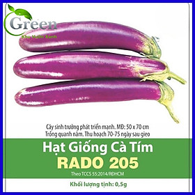 Mua Hạt Giống Cà Tím Không Xơ Chất Lượng