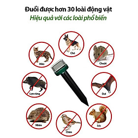 Mua Máy Đuổi Chuột   Rắn   Chim Ngoài Trời Bằng Sóng Siêu Âm – Tự Sạc Mặt Trời  Chống Thấm Tốt