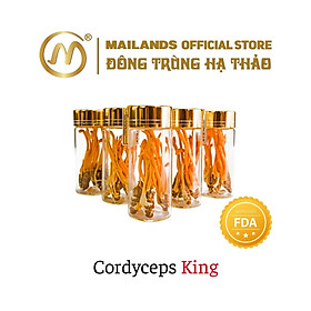 Đông Trùng Hạ Thảo Cordyceps KING