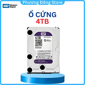 Mua Ổ Cứng WESTERN Purple 10TB - 1TB Purple Surveilance - HÀNG CHÍNH HÃNG