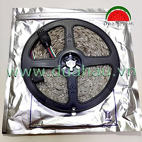 Mua Combo 6 - 5m Led dây 3528 + Nguồn 12V3A + Remote