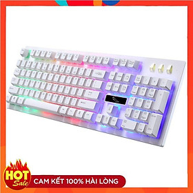 Mua Bàn phím giả cơ️️ Bàn phím hình con báo cực ngầu - Dùng cho dân chơi game Chasing leopard cao cấp G20
