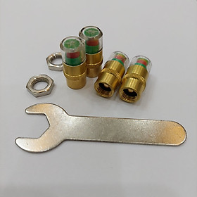 Mua Nắp Van Lốp Ô Tô bằng Đồng kiểm tra cảnh báo Áp Suất Lốp  có ốc hãm chống trộm