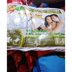 Mua Gối hơi ( Ruột Gối ) cao cấp có khóa kéo