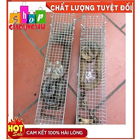 Mua BẪY RẮN KẼM CAO CẤP hiệu quả dài 72 cm