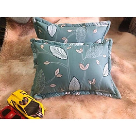 Mua Một đôi vỏ gối hoa cotton hàn quốc trần bông siêu đẹp