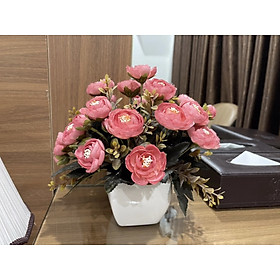 Mua Chậu cây hoa mini để bàn làm việc kích thước 15x14cm