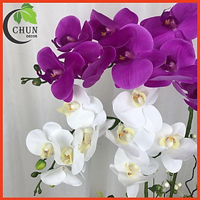 Mua Chậu hoa giả lan hồ điệp để bàn 2 nhánh cao 60cm trang trí nhà cửa  bàn làm việc  kệ tủ siêu đẹp CL3