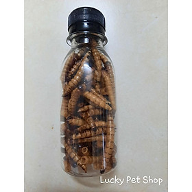Lọ 35 gr Sâu Super Worm cho hamster
