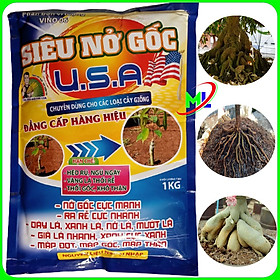 Mua Siêu nở gốc USA  to củ  mập thân  ra rễ cực mạnh chuyên mai vàng gói 1kg