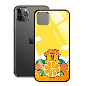 Ốp Lưng Kính Cường Lực cho điện thoại Iphone 11 Pro Max - 0379 7881 SALLY03 - Hàng Chính Hãng