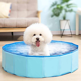 Bể Bơi Cho Thú Cưng Có Thể Gấp Gọn