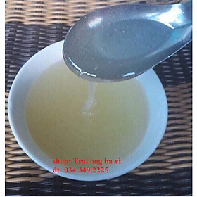Mua Mật Ong Tuyết Của Hoa Blong Song Còn Gọi Là Mật Ong Hoa Ngũ Gia Bì Đặc Sản Mù Cang Chải Yên Bái