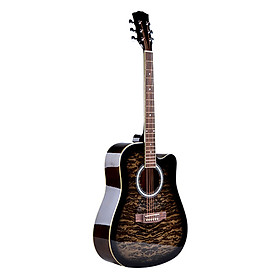 Đàn guitar Acoustic Vines VA-4130BKS