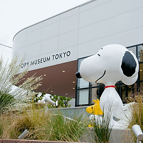 Vé Bảo Tàng Chú Chó Snoopy Tokyo, Nhật Bản