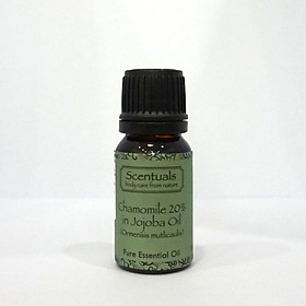 Tinh dầu hoa cúc 20% dầu jojoba - Pure essential oil 10 ml - CHAMOMILE 20% IN JOJOBA OIL