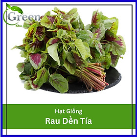 Hạt Giống Rau Dền Tía Nảy Mầm Tốt 20 Gam