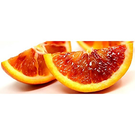 Mua Cây Cam Máu Suigeine (ghép siêu sớm)