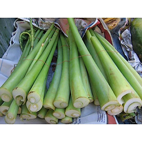 1kg Dọc mùng  tươi sạch nấu canh chua, cây nhà trồng