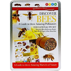 Hình ảnh Wonder Of Learning - Discover Bees - A Guide To These Amazing Pollinators