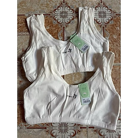 Áo Lá Học Sinh 6060 Cotton Bản Thun Co Giãn Không Mút