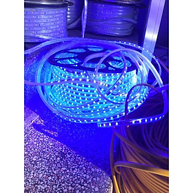 Mua Combo 10m dây led 5050 7 mau nháy đuổi+1 nguồn nháy