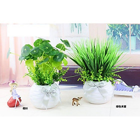 Mua Chậu cây để bàn nhiều mẫu  lọ hoa cỏ nhân tạo xanh mát trang trí nhà cửa  shop thời trang  cửa hàng