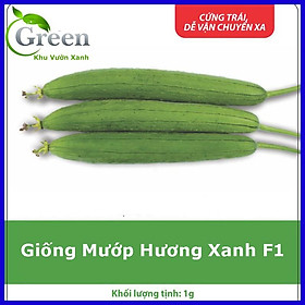 Mua Hạt Giống Mướp Hương Xanh Lai F1