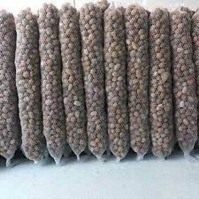 Mua Phân Dê Cho Lan Đã Qua Xử Lý - Túi lưới 20cm - Phân Bón Lan Chuyên Dụng Chất Lượng Cao