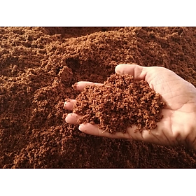 Mua Mùn dừa ủ đã xử lý chuyên dùng cho trồng sen đá  xương rồng