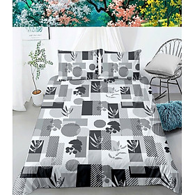 Bộ Drap Thun Lụa _Mát Lạnh {4 MÓN} ga và 3 áo gối #gagoi#drapgoi hoặc drap lẻ