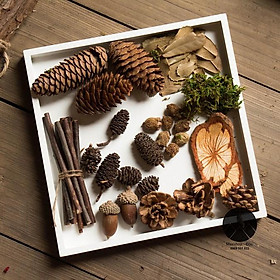 Mua Set đồ khô decor 9 món phụ kiện trang trí chụp ảnh sản phẩm thiên nhiên vintage  set quả khô