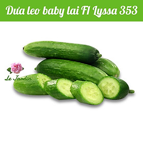 Hạt giống Dưa Leo Baby gói 5 hạt - SAI TRÁI
