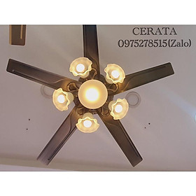 Mua Quạt Trần Có Đèn MG-37 Promax Lõi Đồng Full 6 mức độ Gió  Lắp Cho Mọi ngôi nhà   BH 5 Năm 