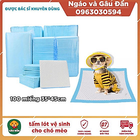 Tấm lót vệ sinh cho chó mèo Ngáo Và Gâu Đần kích cỡ 33x45cm (bịch 100 tấm)