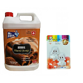 Nước rửa tay khử mùi ,diệt khuẩn Mr.Fresh 5L - Tặng vỉ 2 móc dán tường hình ngẫu nhiên