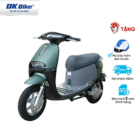 Xe máy điện DK Bike New Gogo New 2022