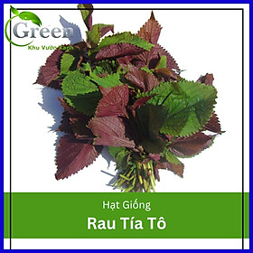 Hạt Giống Rau Tía Tô