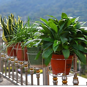 Mua Kệ Để Chậu Hoa Ban Công  Kệ Treo Chậu Cây Ngoài Trời Cao Cấp