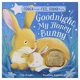 Goodnight My Honey Bunny (Touch And Feel Sound Book)