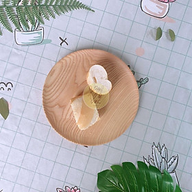 Mua Khay tròn gỗ Tần Bì nguyên khối nhiều kích thước I Khay gỗ đựng đồ ăn  Decor trưng bày  chụp hình sản phẩm