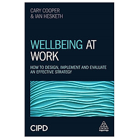 [Download Sách] Wellbeing At Work: How To Design, Implement And Evaluate An Effective Strategy