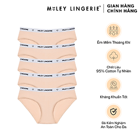 Combo 5 Quần Lót Nữ Cotton Lưng Miley Lingerie - FDS0904