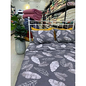 Set Ga Gối Hàn Quốc Xịn
