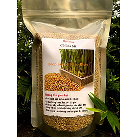 Hạt giống Cỏ Lúa Mì Úc (1000 gr)