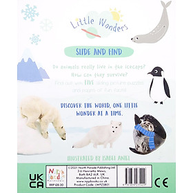 Little Wonders: Polar Animals - 5 Puzzles